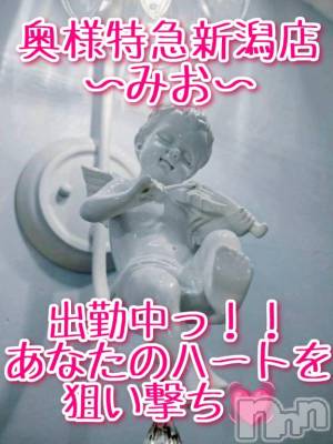 新潟デリヘル 奥様特急 新潟店(オクサマトッキュウニイガタテン) みお(26)の3月14日写メブログ「あなたのハートを狙い撃ち💓‪」