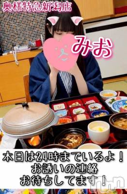 新潟デリヘル 奥様特急 新潟店(オクサマトッキュウニイガタテン) みお(26)の3月21日写メブログ「本日は24時までいるよ❣️お誘いの連絡まってます❣️」