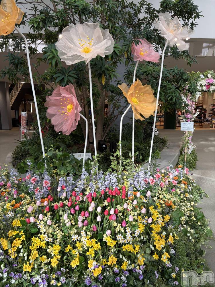 長野デリヘルStory ～人妻物語～(ストーリー) 極安☆おりん(44)の3月13日写メブログ「こんばんは」