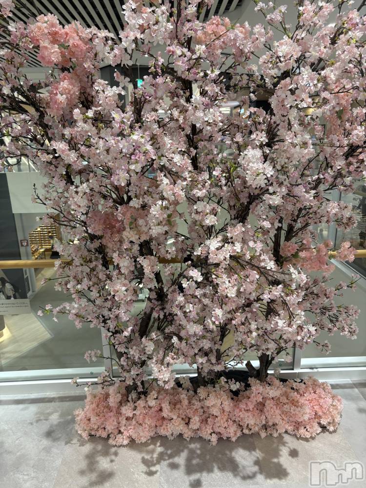 長野デリヘルStory ～人妻物語～(ストーリー) 極安☆おりん(44)の3月29日写メブログ「こんにちは。」