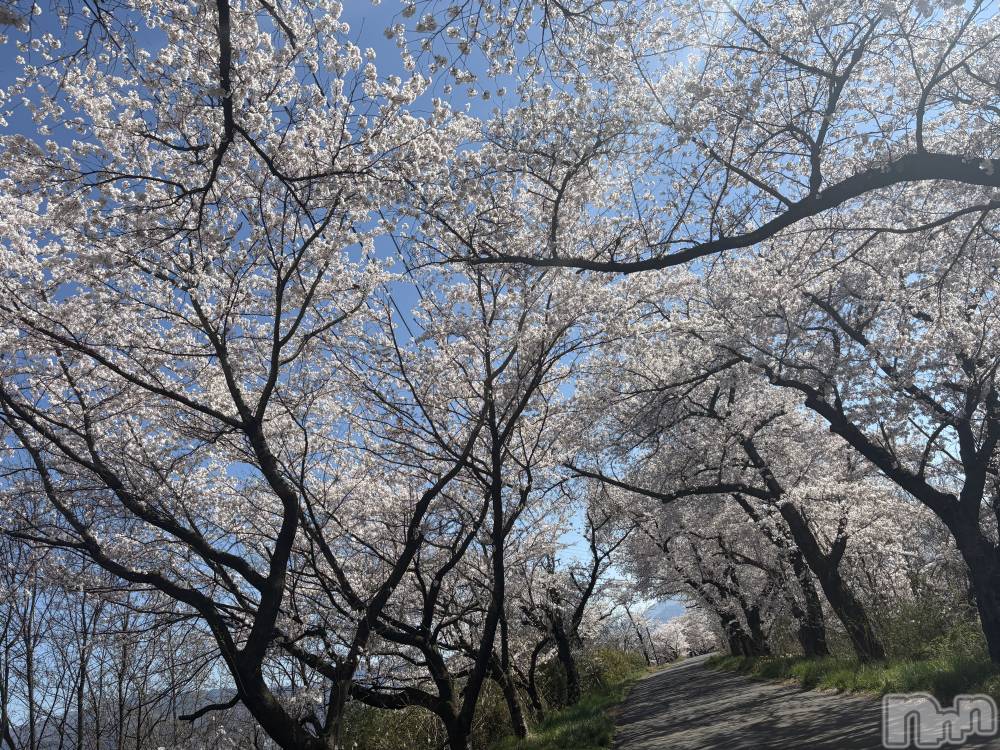 長野デリヘルStory ～人妻物語～(ストーリー) 極安☆おりん(44)の4月8日写メブログ「こんにちは。」