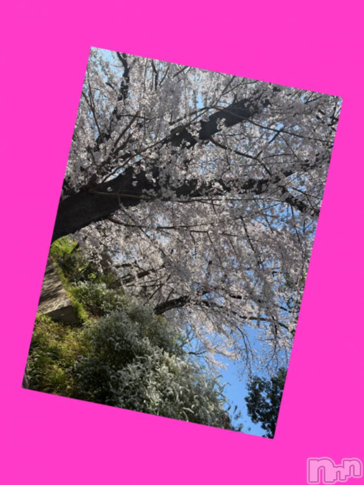 長野デリヘルStory ～人妻物語～(ストーリー) 極安☆おりん(44)の4月8日写メブログ「有名な、、」