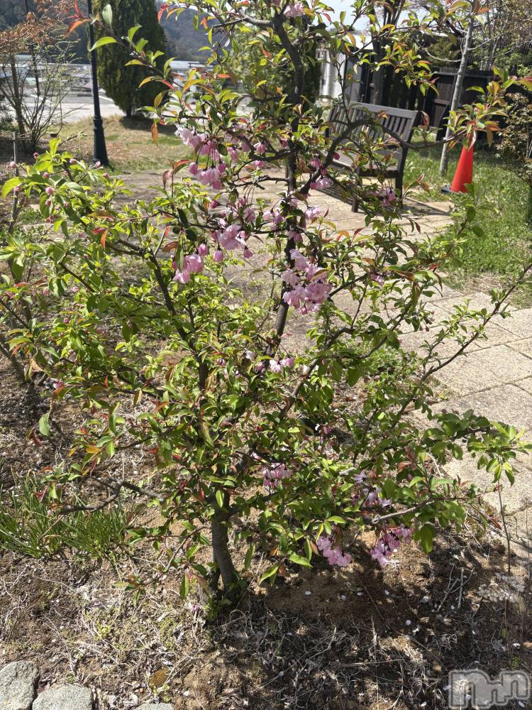 長野デリヘルStory ～人妻物語～(ストーリー) 極安☆おりん(44)の4月13日写メブログ「温泉はいいよなあ～♨️。」