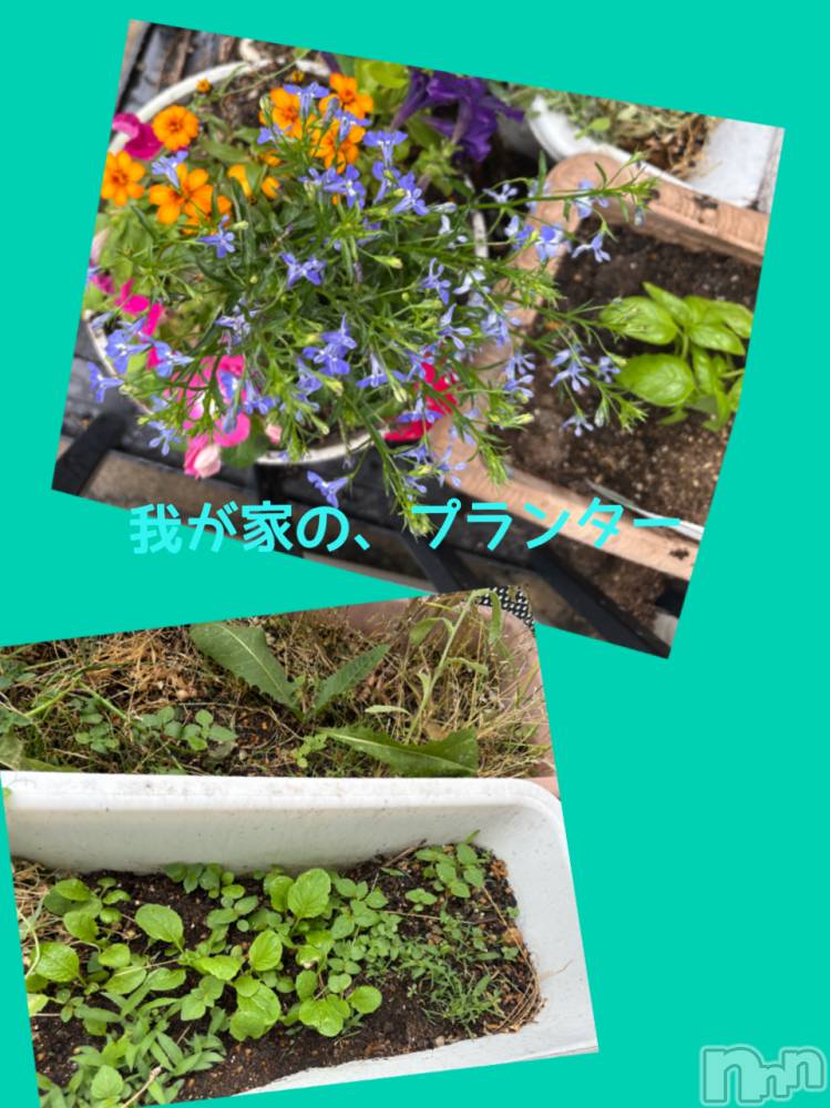 長野デリヘルStory ～人妻物語～(ストーリー) 極安☆おりん(44)の5月21日写メブログ「こんにちわ、」