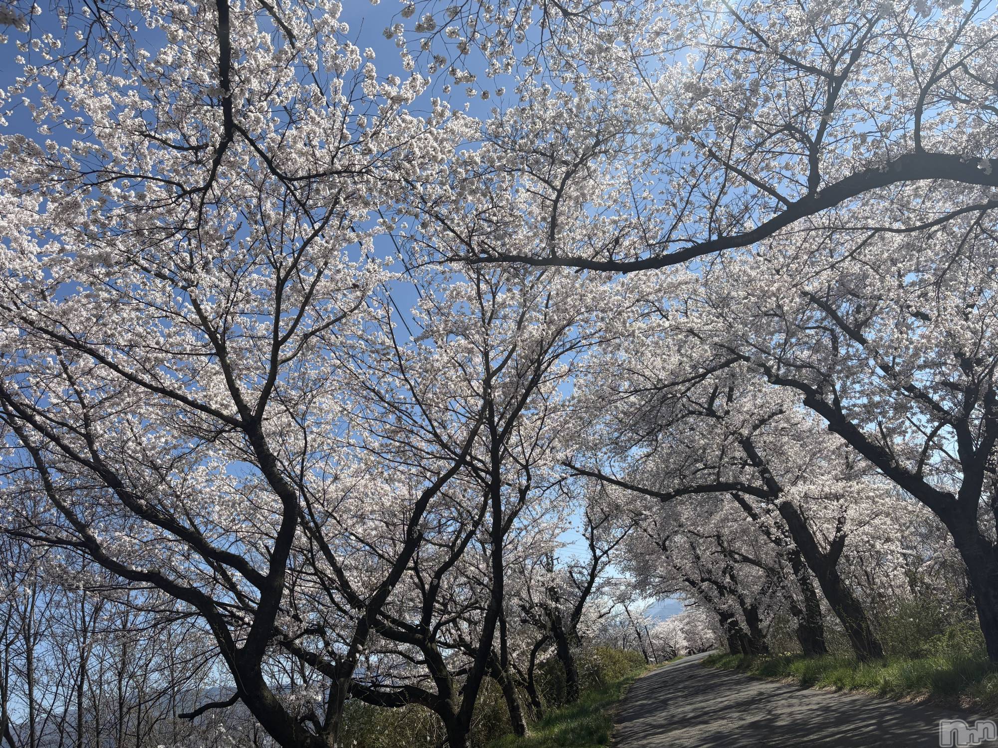 長野デリヘルStory ～人妻物語～(ストーリー)極安☆おりん(44)の2026年4月8日写メブログ「こんにちは。」