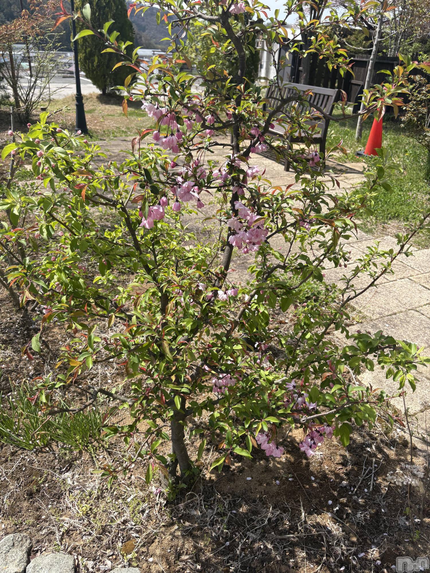 長野デリヘルStory ～人妻物語～(ストーリー)極安☆おりん(44)の2026年4月13日写メブログ「温泉はいいよなあ～♨️。」