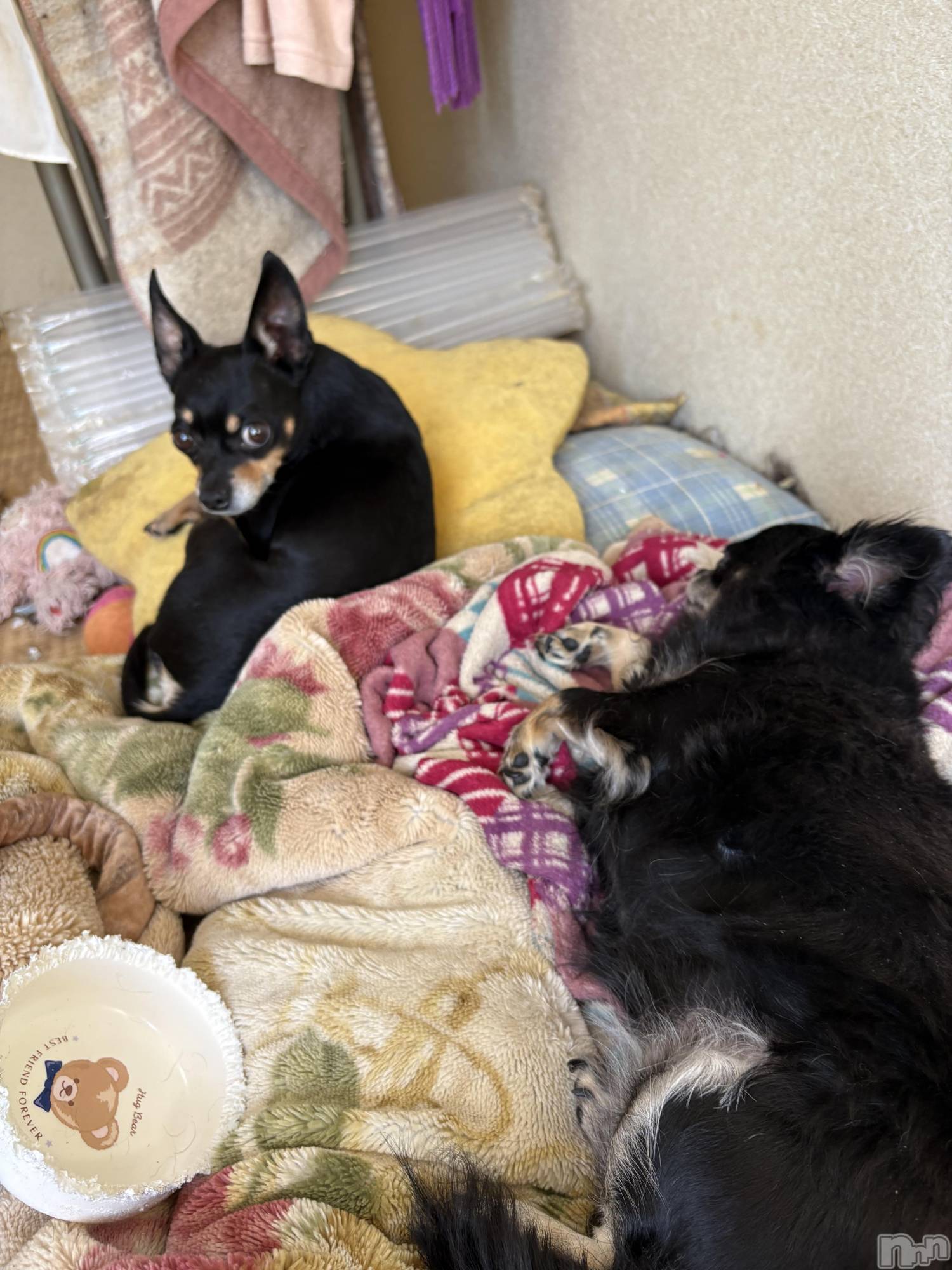 長野デリヘルStory ～人妻物語～(ストーリー)極安☆おりん(44)の2026年4月18日写メブログ「余震続いているね、、😭」