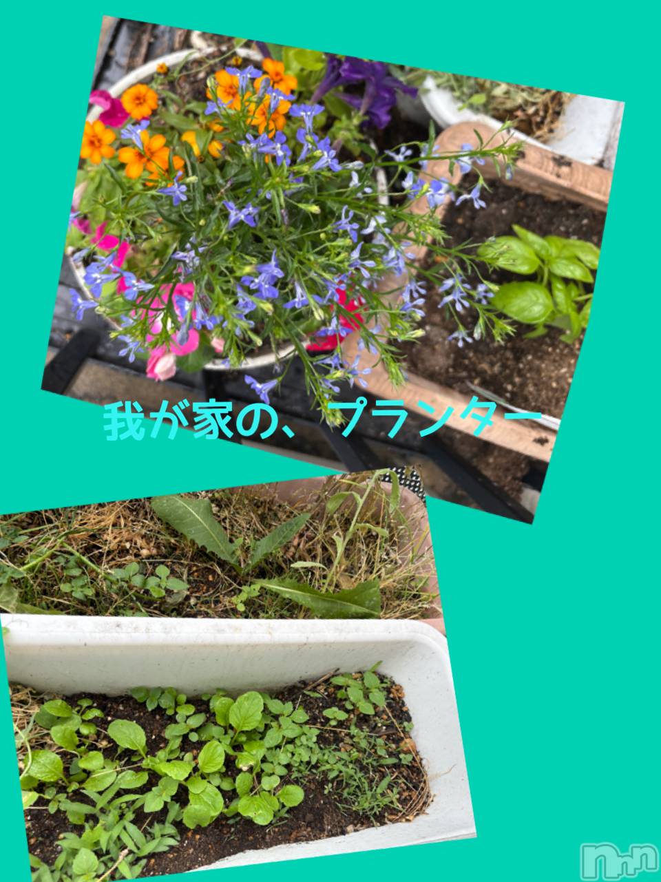 長野デリヘルStory ～人妻物語～(ストーリー)極安☆おりん(44)の2026年5月21日写メブログ「こんにちわ、」