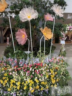 長野デリヘル Story ～人妻物語～(ストーリー) 極安☆おりん(44)の3月13日写メブログ「こんばんは」