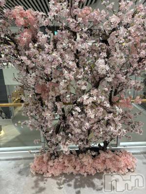 長野デリヘル Story ～人妻物語～(ストーリー) 極安☆おりん(44)の3月29日写メブログ「こんにちは。」