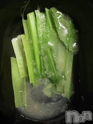 おやすみなさーい🐑💤