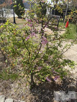 温泉はいいよなあ～♨️。