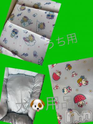 こんばんは