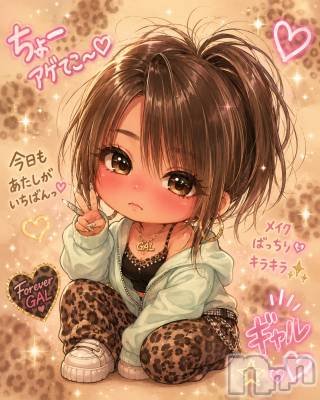 今日は、、