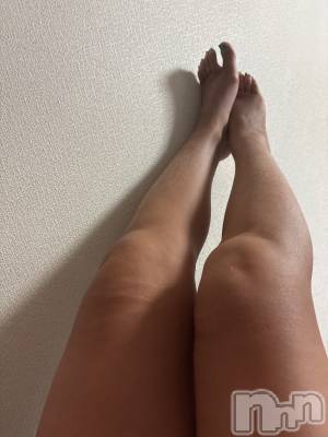 おやすみなさいー。