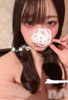 ��Į���ʥå��������륺�С�GIRL��S BAR SHELBY(�����륺�С�������ӡ�) �Ĥम��1��31���̥�֥�����1��饹�ȡ���