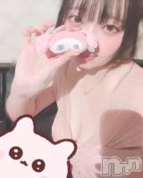 ��Į���ʥå��������륺�С�GIRL��S BAR SHELBY(�����륺�С�������ӡ�) �Ĥम��3��7���̥�֥����֤ޤ����ᙏ̤̫��