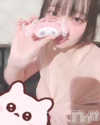 ��Į���ʥå��������륺�С�GIRL��S BAR SHELBY(�����륺�С�������ӡ�) �Ĥम��3��7���̥�֥����֤ޤ����ᙏ̤̫��