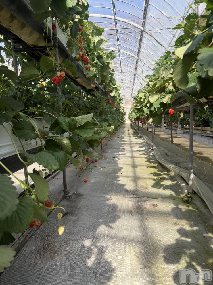 ���ܱ������ʥå��������륺�С�Lounge FLEUR(�饦�󥸥ե롼��) �����3��2���̥�֥����֤ޤ��ԤäƤ��ޤ�������