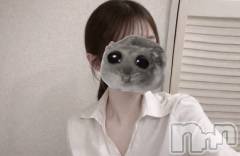 新潟メンズエステMen's Spa 神の手(メンズスパカミノテ) 【新人】七瀬しほの1月16日写メブログ「ぐんぐん」