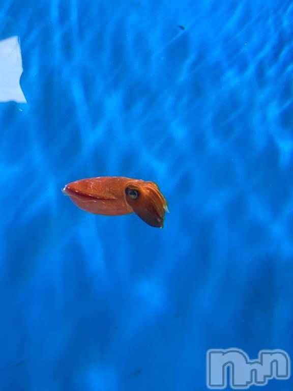 長岡デリヘル長岡市総合デリヘル COLOR～デリヘル・手コキ・密着エステ～(ナガオカシソウゴウデリヘルカラー) 新人ひまり(23)の2月10日写メブログ「あしただね！」