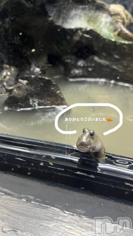 長岡デリヘル長岡市総合デリヘル COLOR～デリヘル・手コキ・密着エステ～(ナガオカシソウゴウデリヘルカラー) 新人ひまり(23)の2月12日写メブログ「にんまり」