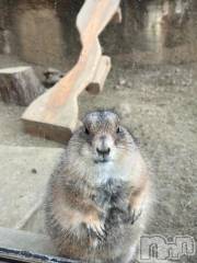 長岡デリヘル長岡市総合デリヘル COLOR～デリヘル・手コキ・密着エステ～(ナガオカシソウゴウデリヘルカラー) 新人ひまり(23)の2月27日写メブログ「肉食？？」