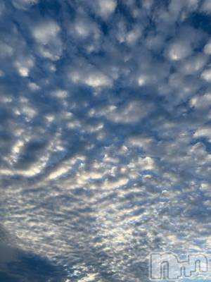 長岡デリヘル 長岡市総合デリヘル COLOR～デリヘル・手コキ・密着エステ～(ナガオカシソウゴウデリヘルカラー) 新人ひまり(23)の2月24日写メブログ「待ってます🤍」