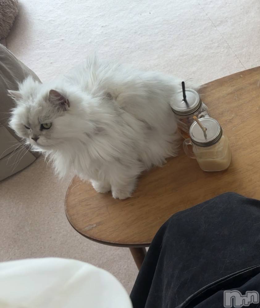 ��Ʋ����Х��顦�����clubTiara(�ƥ�����) ��ʤ�2��13���̥�֥�����2.13��21:00����