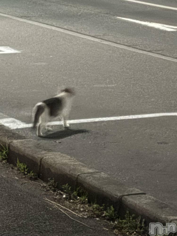 ��Ʋ����Х��顦�����clubTiara(�ƥ�����) ��ʤ�3��27���̥�֥�����3.27��21:00����