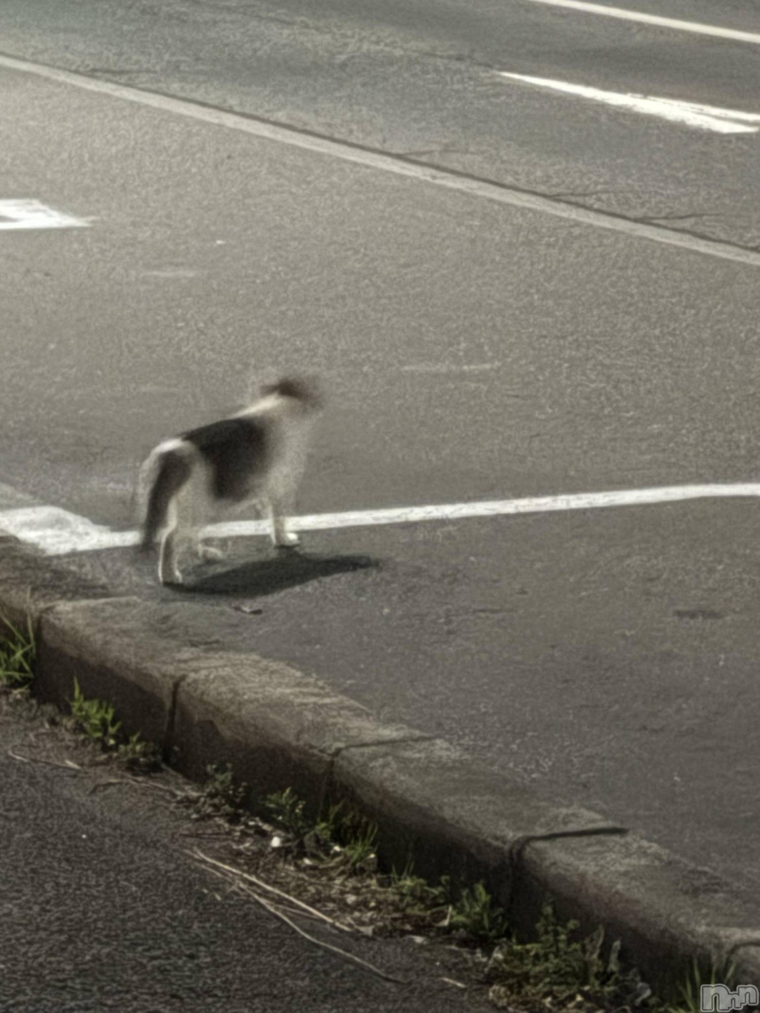 ��Ʋ����Х��顦�����clubTiara(�ƥ�����) ��2026ǯ3��27���̥�֥�����3.27��21:00����