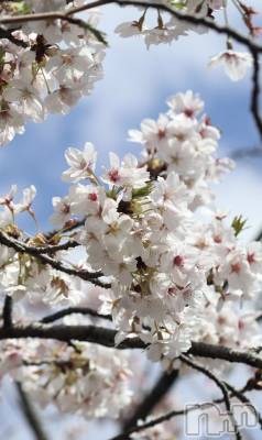 ��Ʋ����Х��顦�����clubTiara(�ƥ�����) ���(22)��4��8���̥�֥����ֺ�����Ź�����Ǥ����🌸��