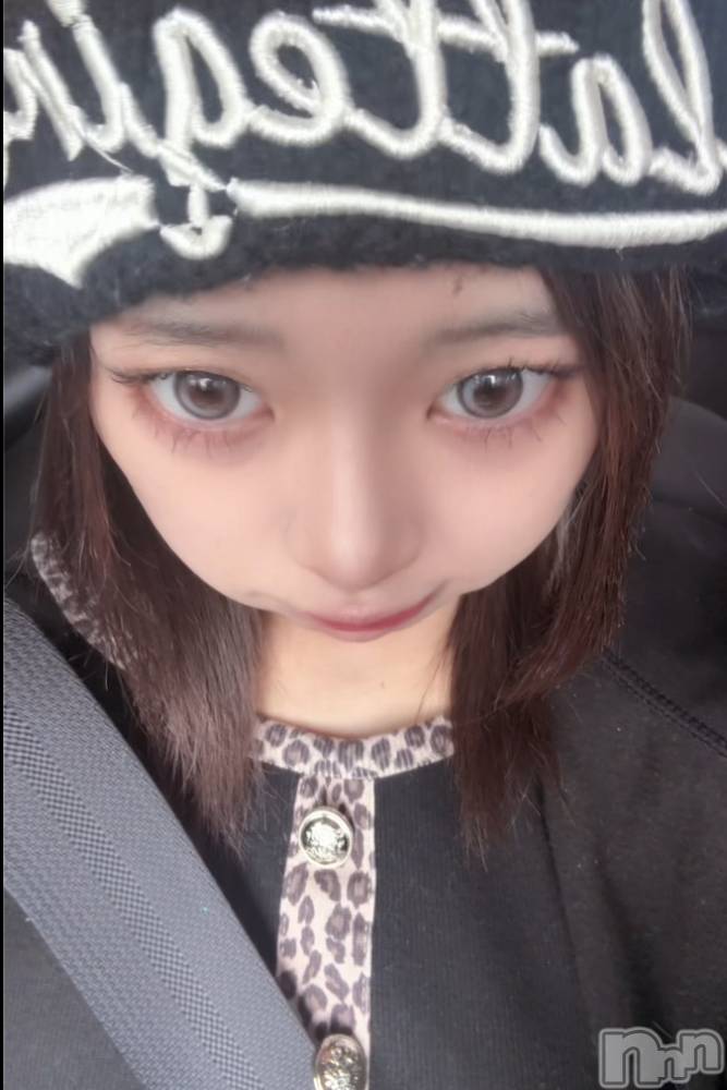 ��Į���ʥå��������륺�С�GIRL��S BAR SHELBY(�����륺�С�������ӡ�) �����1��15���̥�֥����֤��थ����