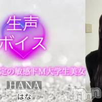 はな☆プラチナ