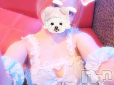 新潟おっパブ SUPER ANGEL(スーパーエンジェル) 御園もも(ヒミツ)の3月28日写メブログ「💕🍀✩.*˚」