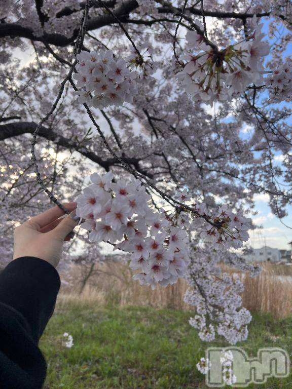 新潟デリヘルMelt(メルト)まいか(20)の2026年4月8日写メブログ「イベントしてるよ✨」