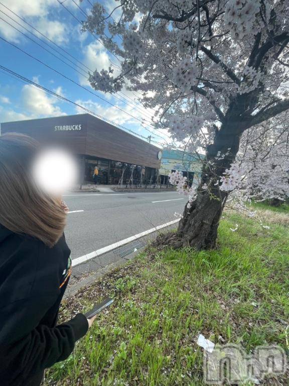 新潟デリヘルMelt(メルト)まいか(20)の2026年4月9日写メブログ「周年イベしてる( ՞. ̫.՞)