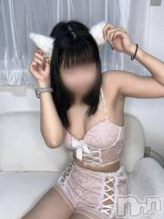 新潟デリヘルMelt(メルト) 【新人】まいか(20)の2月28日写メブログ「にゃん」