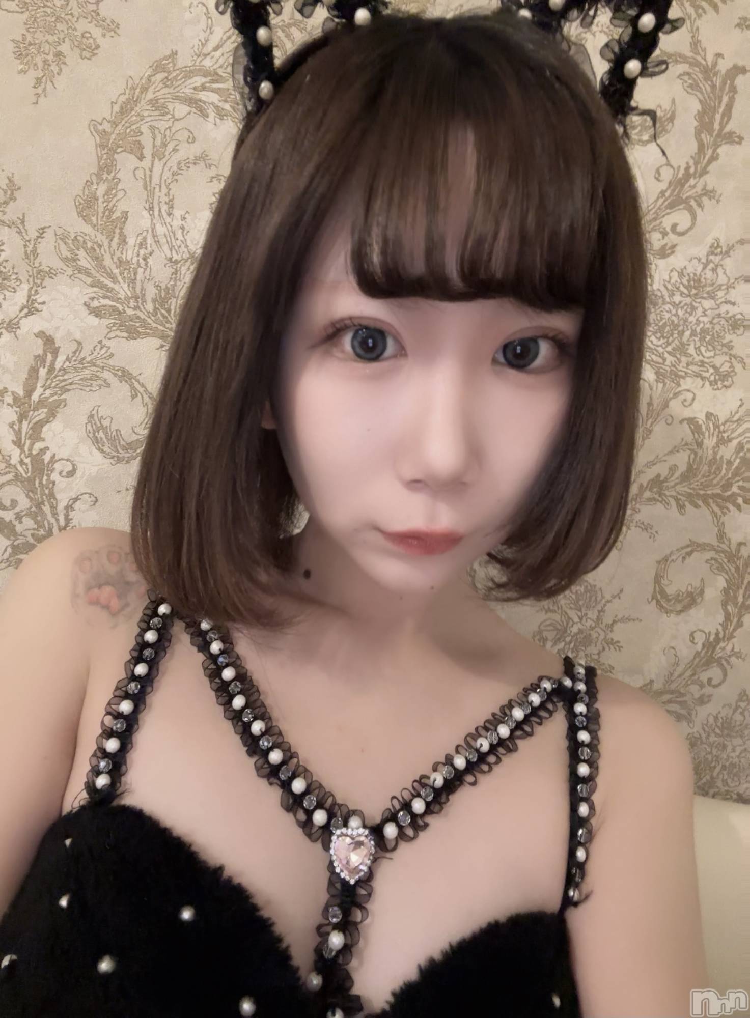 ����������ʥå��������륺�С����󥻥ץȥ��ե� ���ˤޤ����(���󥻥ץȥ��ե����˥ޥ륭�奦�ǥ�) ��2026ǯ1��24���̥�֥�����1��24�� 20��55ʬ�Υ֥�����