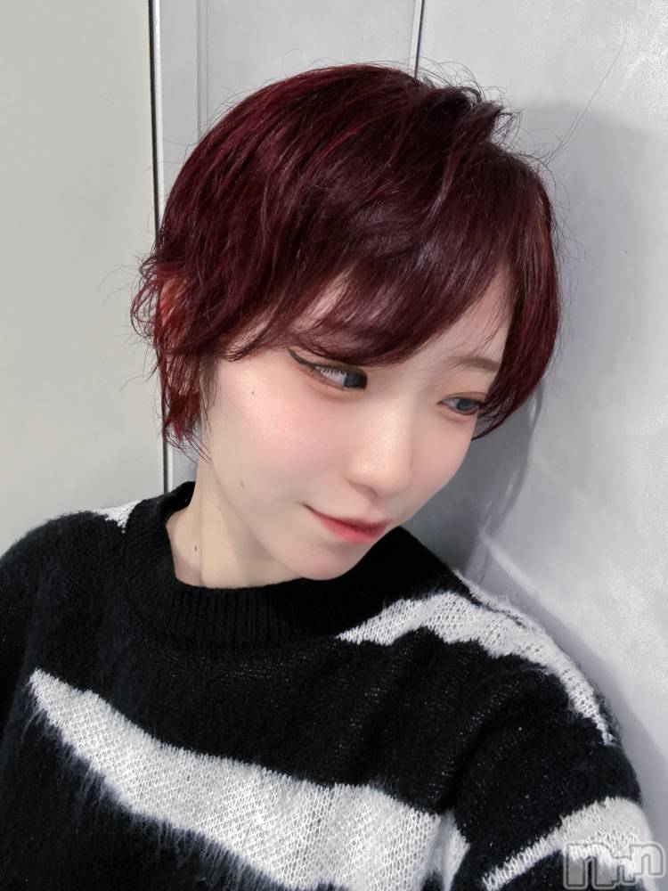 ��ˬ����Х��顦����֥���� �ץ���� ��ˬ(����� �ץ���� ����) ���� ����1��18���̥�֥�����💚💚💚��