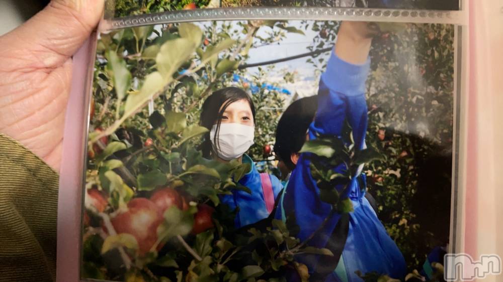 ��ˬ����Х��顦����֥���� �ץ���� ��ˬ(����� �ץ���� ����) ���� ����2��3���̥�֥�����🍎��