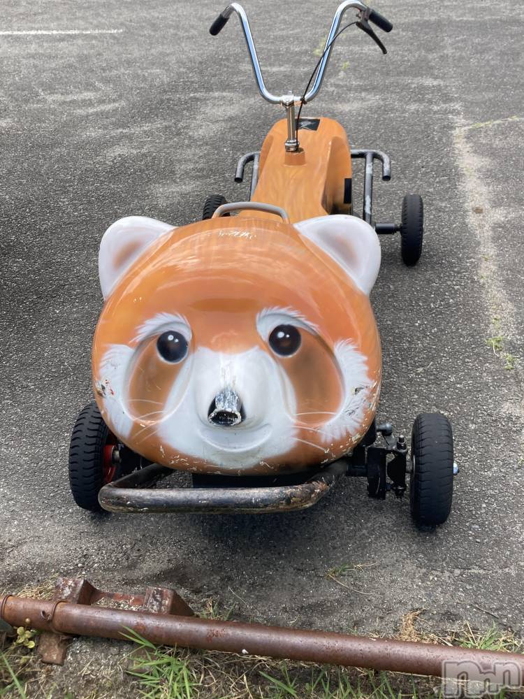 ��ˬ����Х��顦����֥���� �ץ���� ��ˬ(����� �ץ���� ����) ���� ����2��10���̥�֥�����🚲��