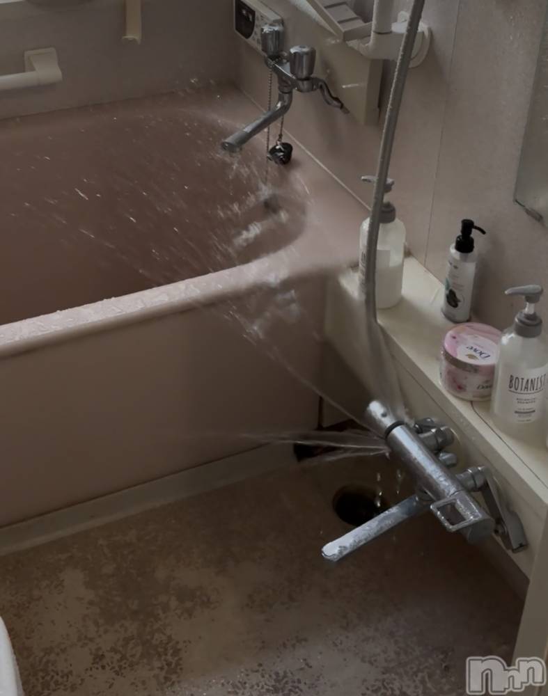 ��ˬ����Х��顦����֥���� �ץ���� ��ˬ(����� �ץ���� ����) ���� ����2��11���̥�֥�����🛁*����