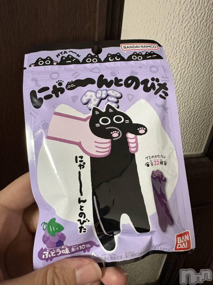 ��ˬ����Х��顦����֥���� �ץ���� ��ˬ(����� �ץ���� ����) ���� ����2��15���̥�֥�����𓏲𓎨��