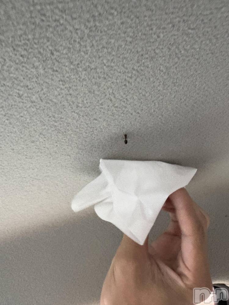 ��ˬ����Х��顦����֥���� �ץ���� ��ˬ(����� �ץ���� ����) ���� ����3��13���̥�֥�����😇��