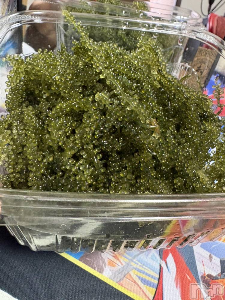 ��ˬ����Х��顦����֥���� �ץ���� ��ˬ(����� �ץ���� ����) ���� ����4��17���̥�֥�����🫶🏻🫶🏻🫶🏻🫶🏻🫶🏻��