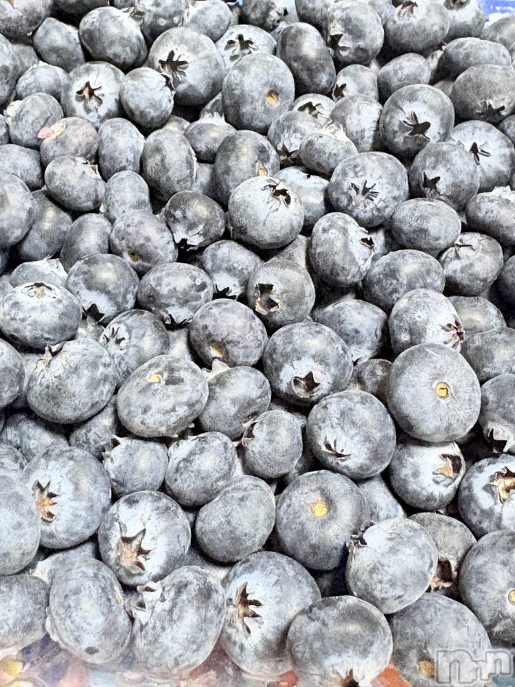 ��ˬ����Х��顦����֥���� �ץ���� ��ˬ(����� �ץ���� ����) ���� ����4��20���̥�֥�����🫐🫐🫐��