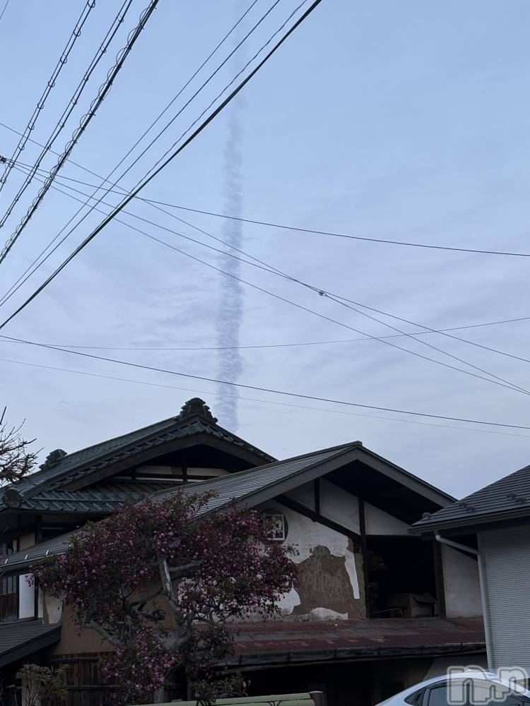 ��ˬ����Х��顦����֥���� �ץ���� ��ˬ(����� �ץ���� ����) ���� ����4��23���̥�֥�����⛅️��