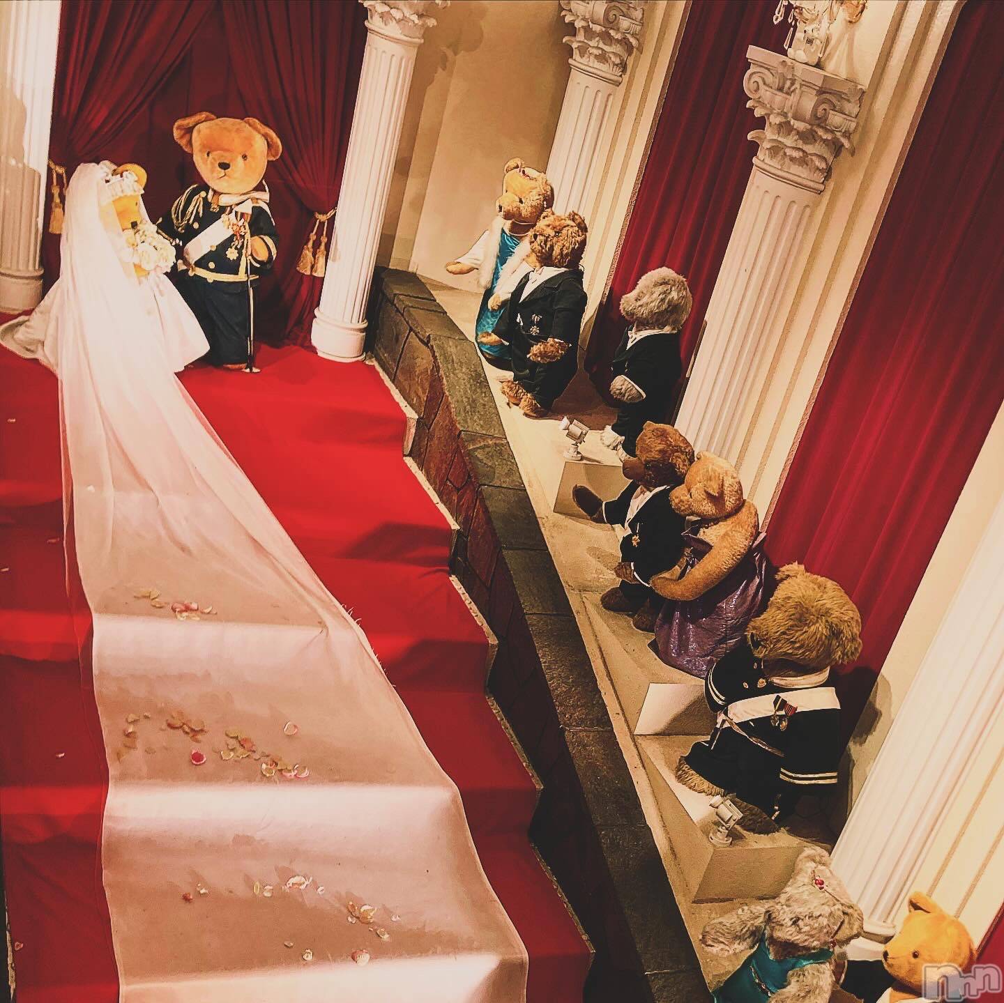 ��ˬ����Х��顦����֥���� �ץ���� ��ˬ(����� �ץ���� ����) ��2026ǯ1��31���̥�֥�����💍🧸��