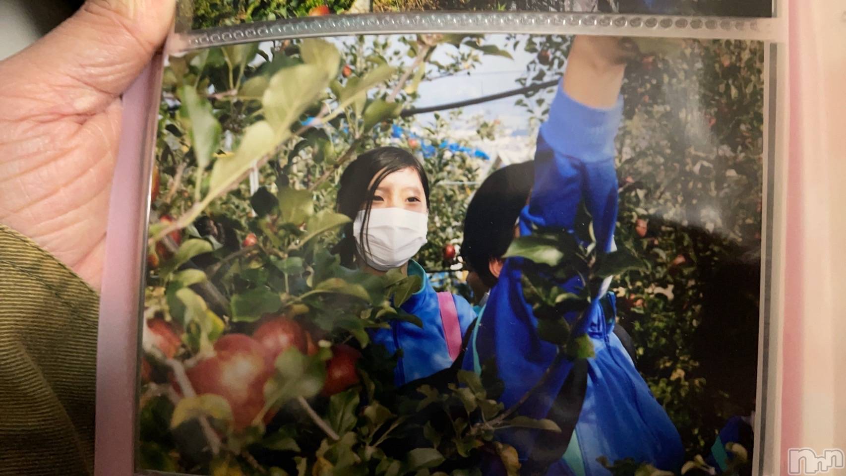 ��ˬ����Х��顦����֥���� �ץ���� ��ˬ(����� �ץ���� ����) ��2026ǯ2��3���̥�֥�����🍎��